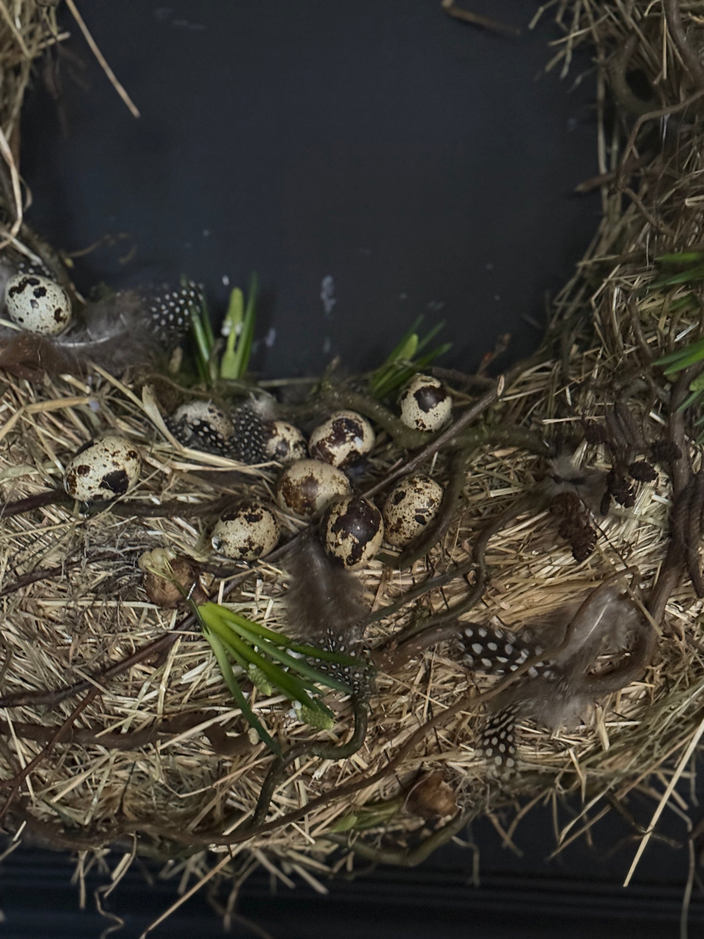 Grote voorjaarskrans