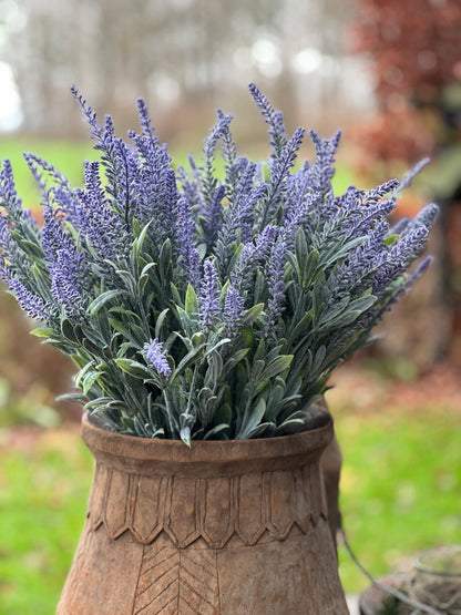 Lavender branch with grayed leaves