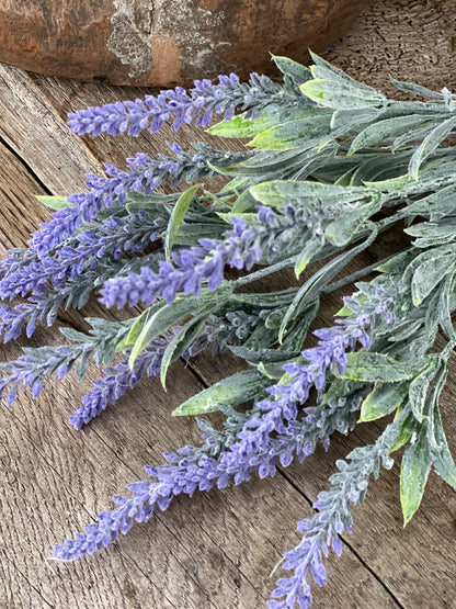 Lavender branch with grayed leaves