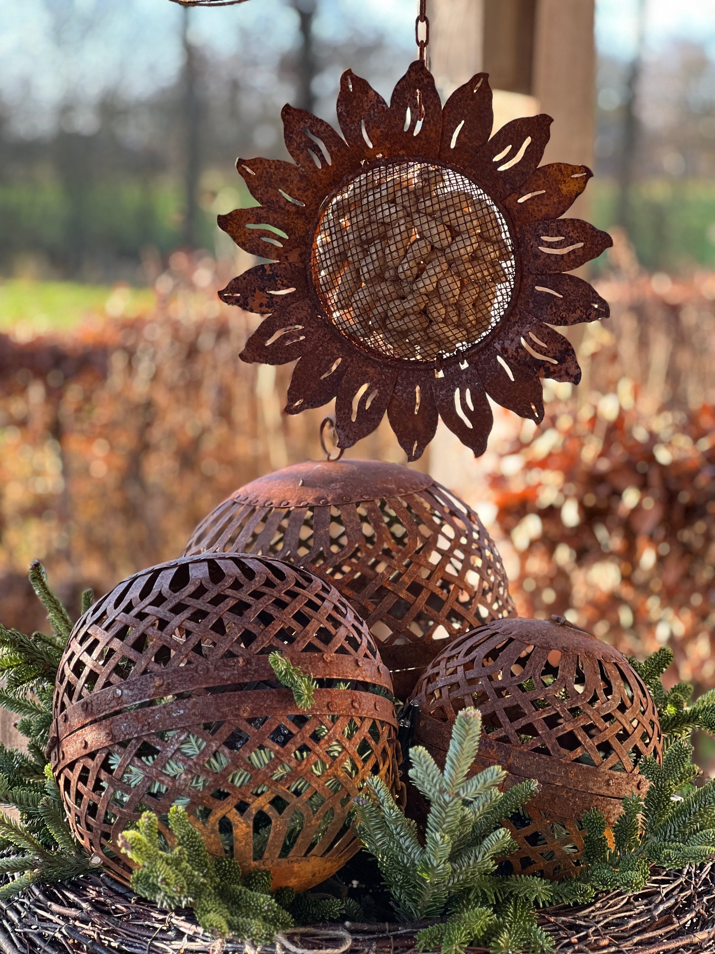 Bird food pendant Sunflower