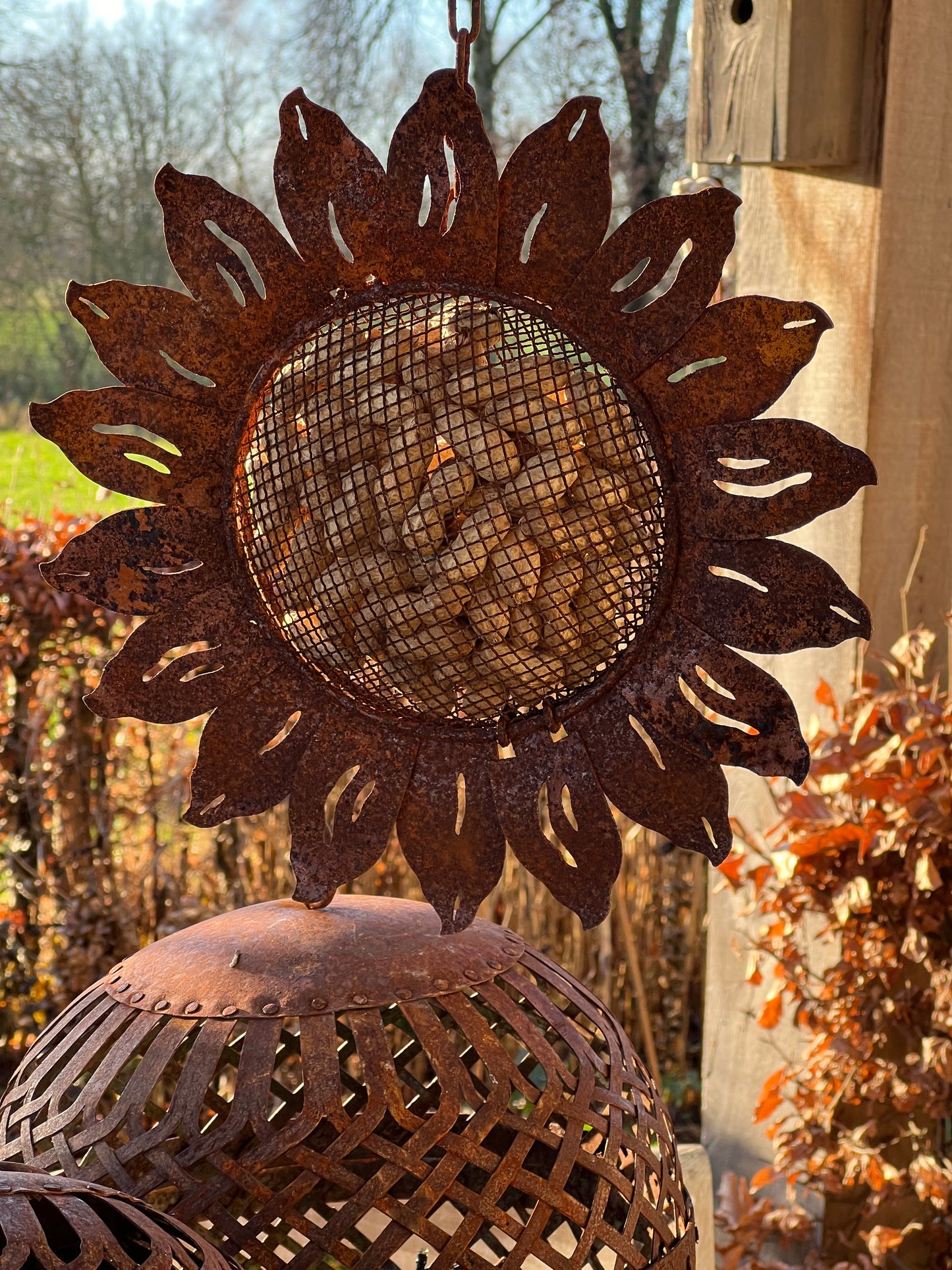 Bird food pendant Sunflower