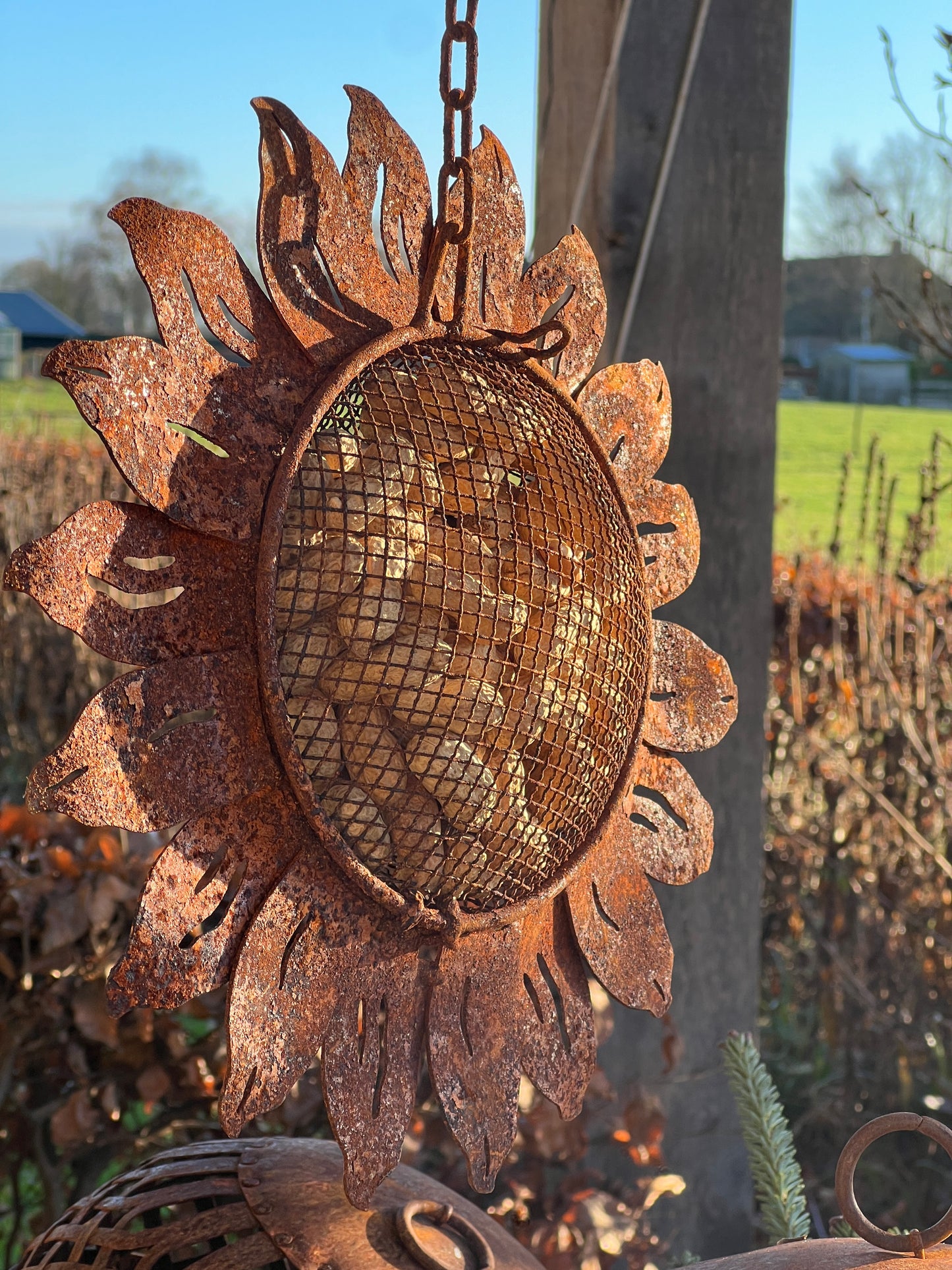 Bird food pendant Sunflower