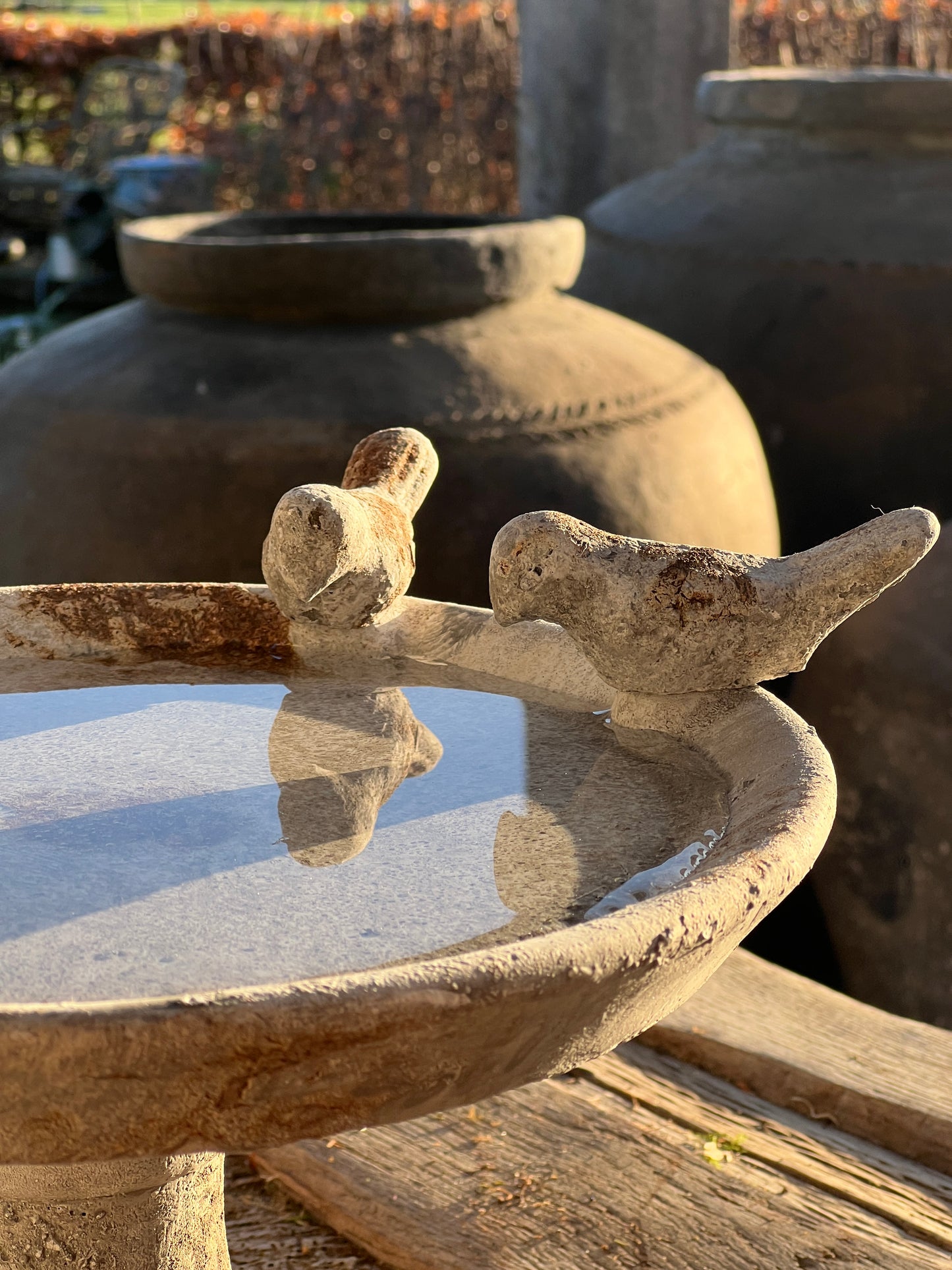 Bird drinking trough on foot