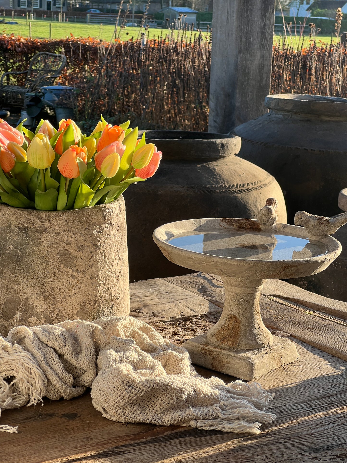 Bird drinking trough on foot