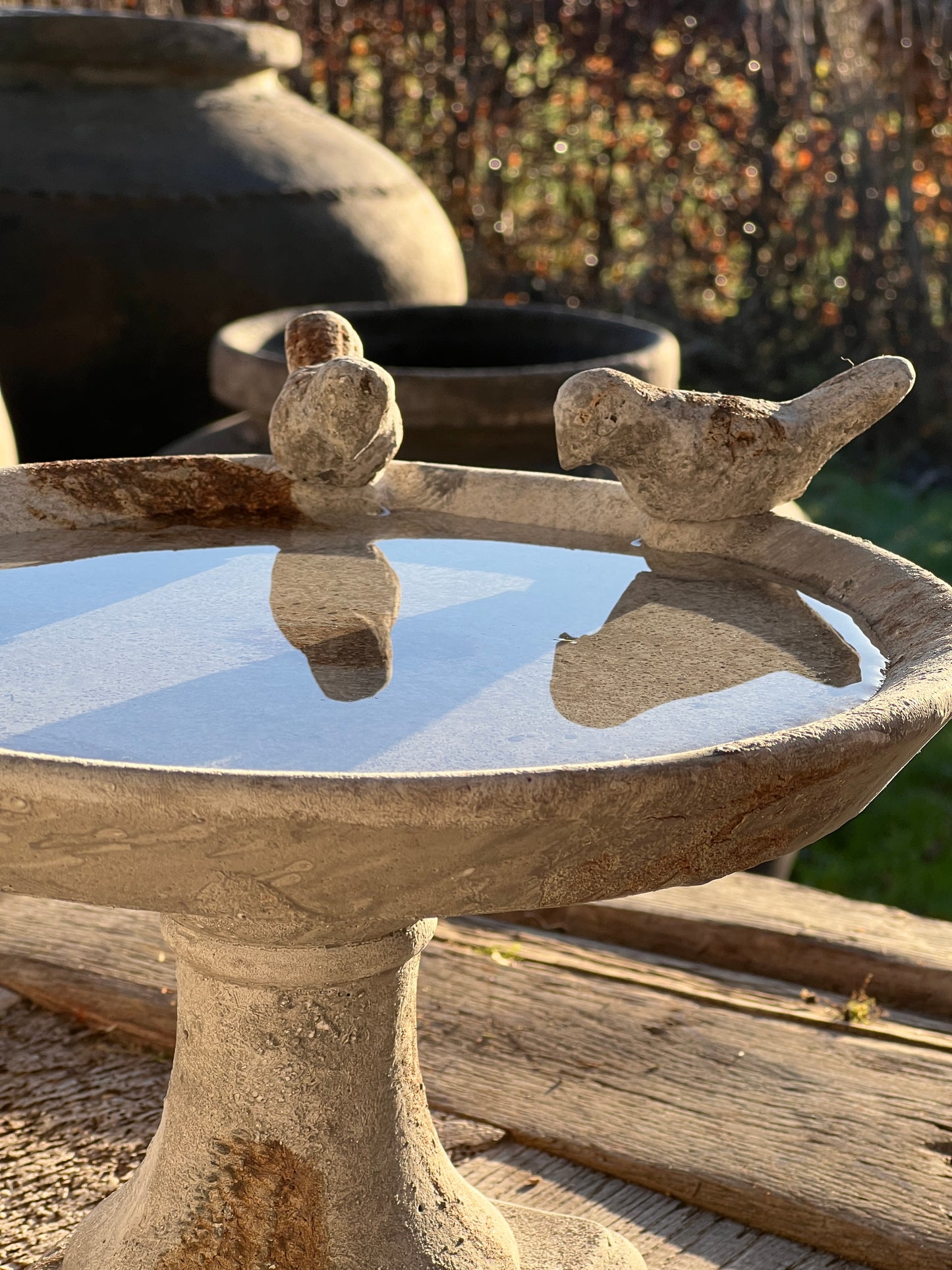 Bird drinking trough on foot