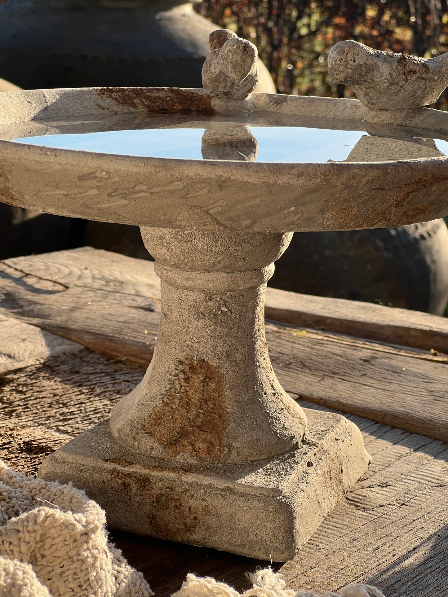 Bird drinking trough on foot