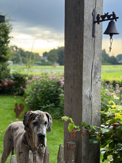 Schmiedeeiserne Glocke mit Vögeln – Garten- &amp; Tordekoration