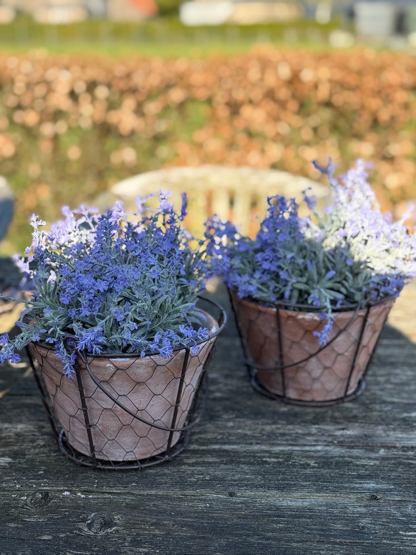 Terracotta bloempot in gaasmand met hengsel