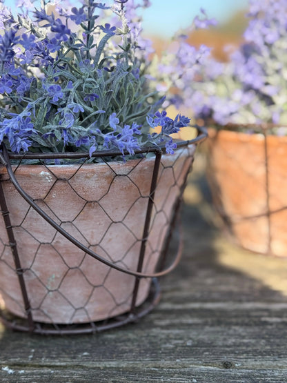 Terracotta plant pot in wire basket with handle