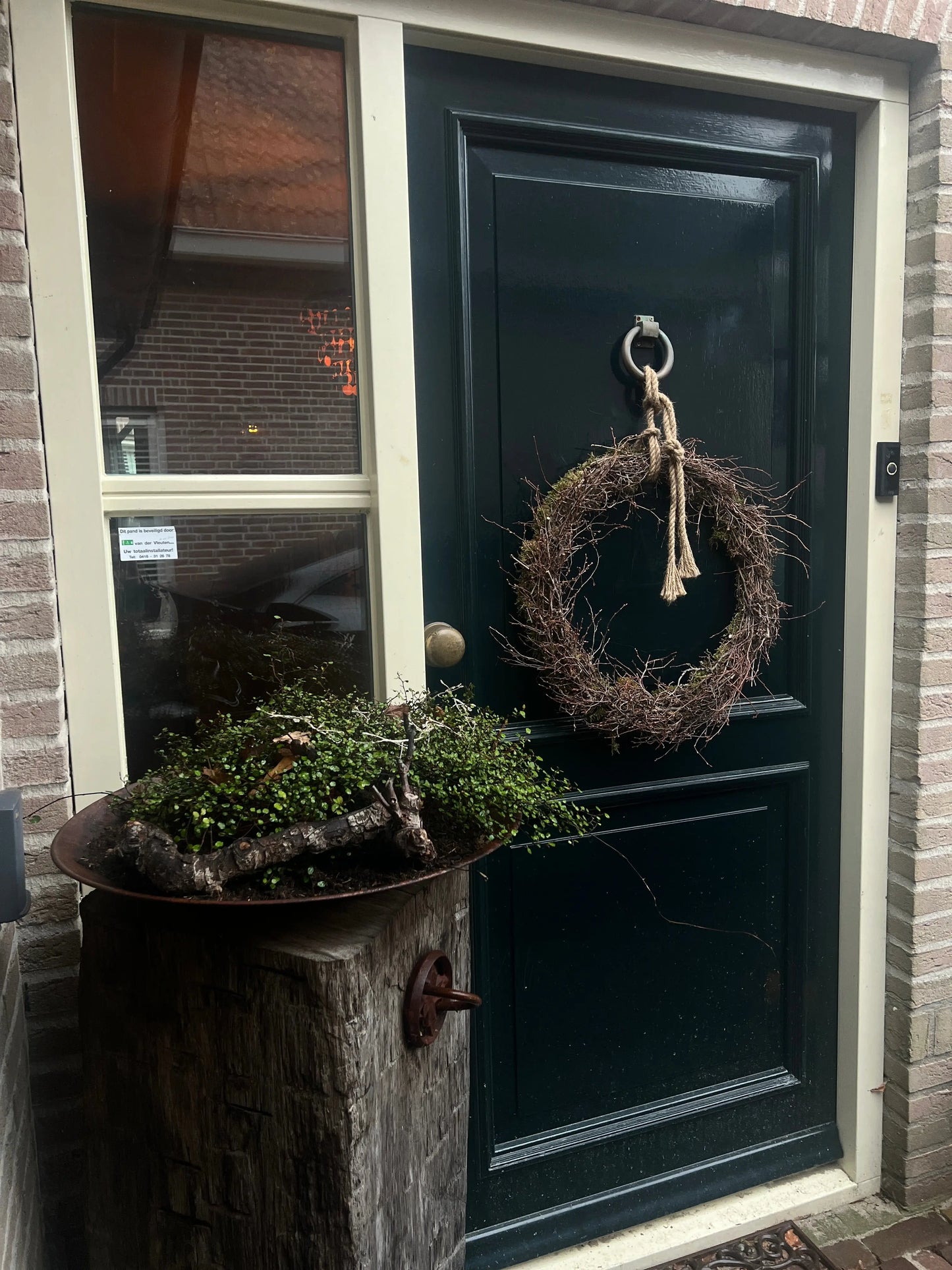 Wreath moss bonsai