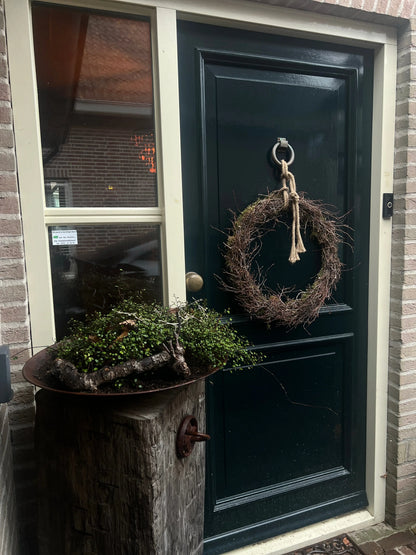 Wreath moss bonsai