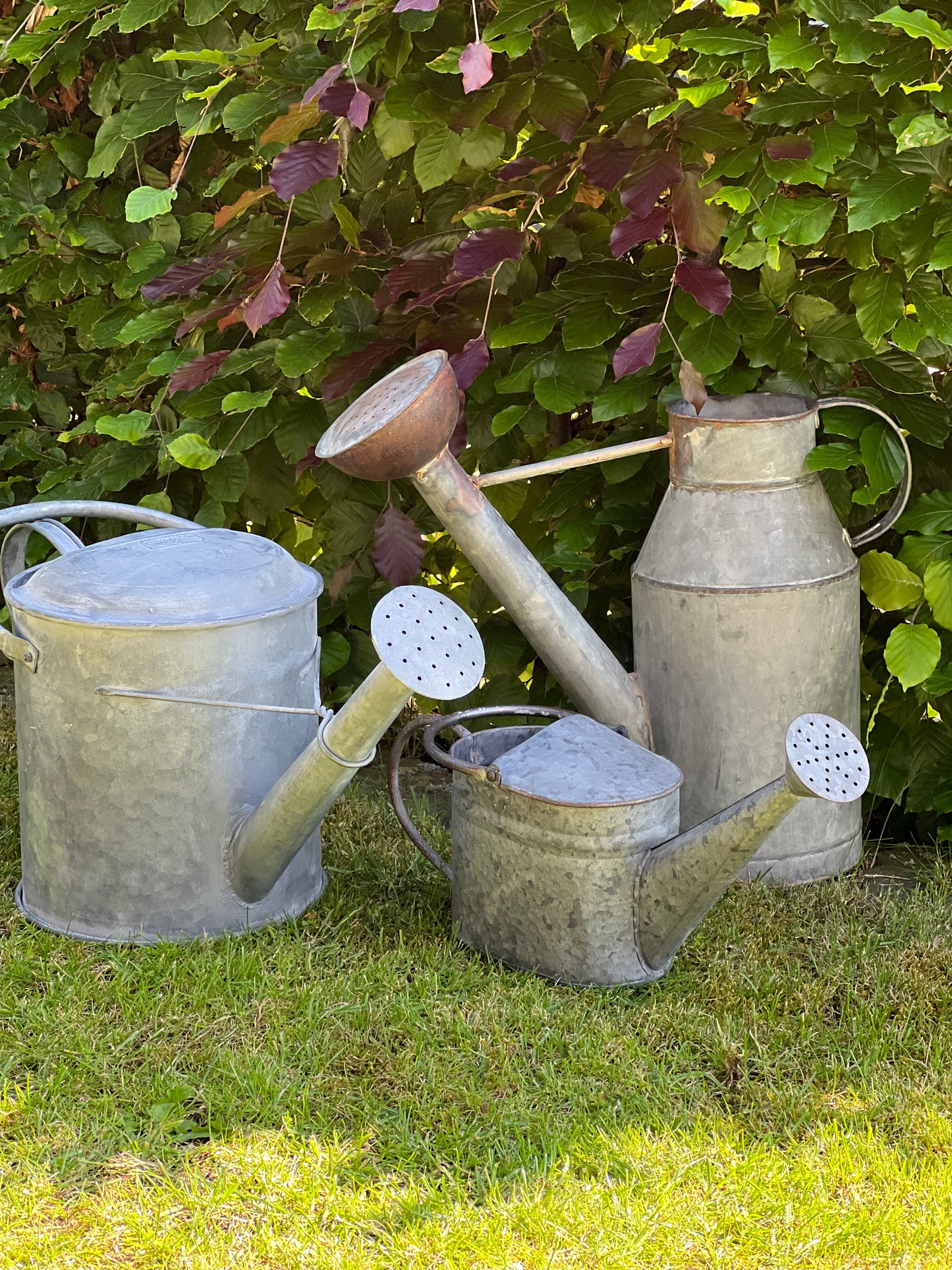 Watering Can Small