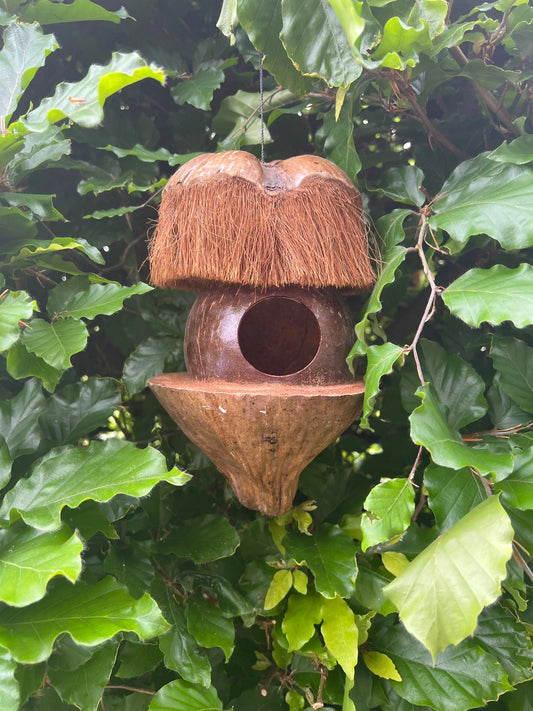 Vogelhaus Kokosnuss