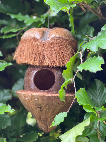 Birdhouse coconut