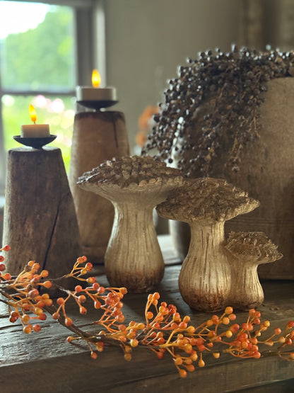 Mushroom Size L - Right in the photo