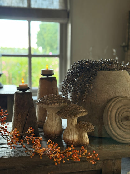 Mushroom Size L - Right in the photo