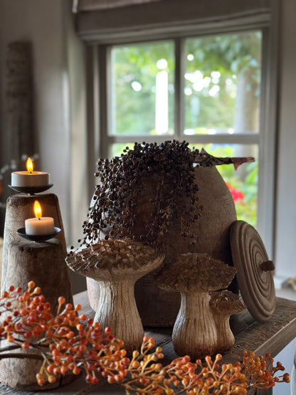 Mushroom Size L - Right in the photo