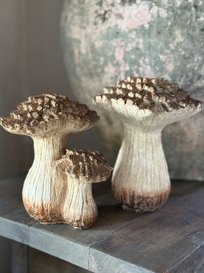 Mushroom Double-Left in the photo