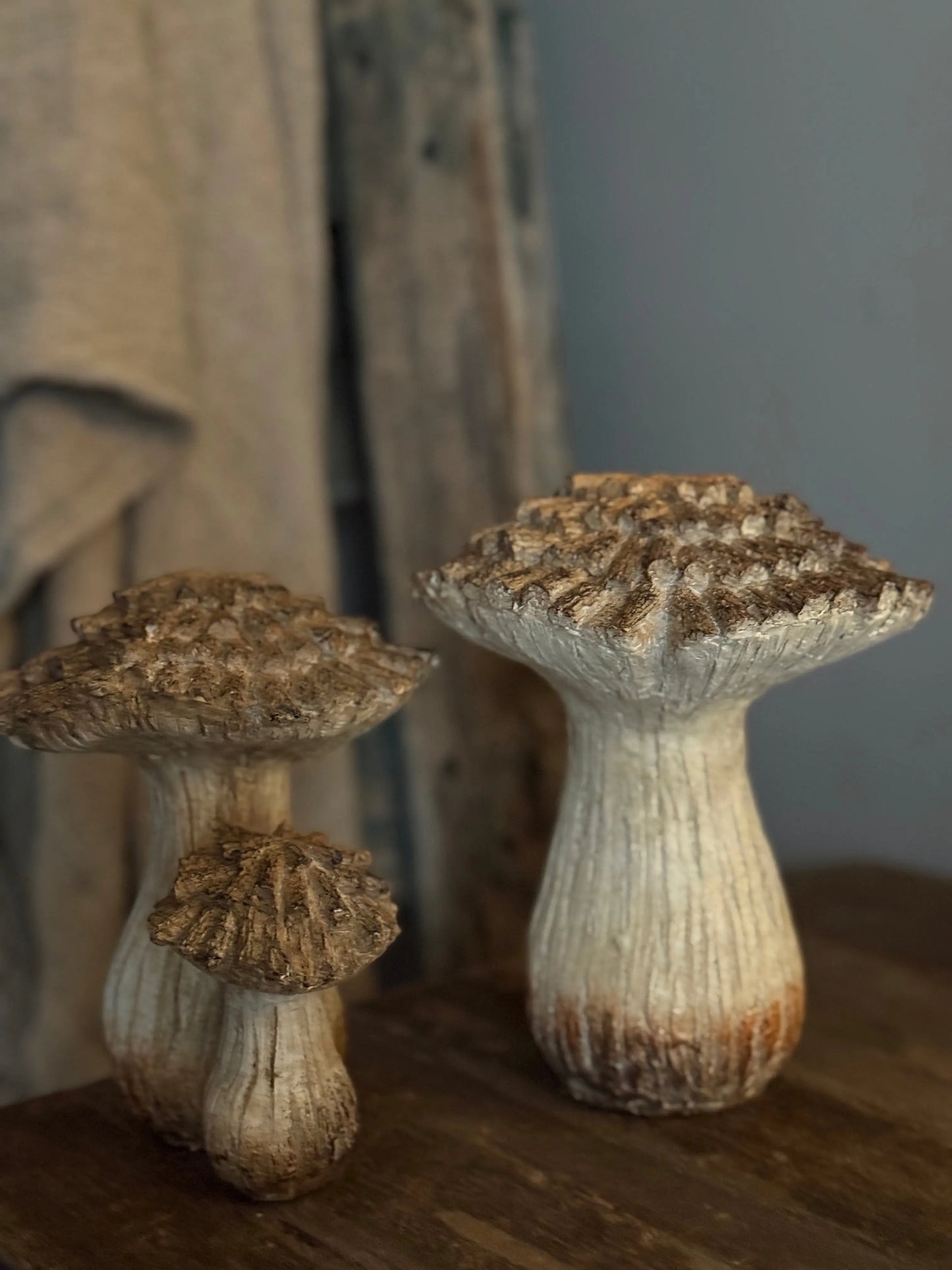 Paddenstoel Dubbel-Linker op de foto