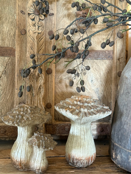 Mushroom Double-Left in the photo