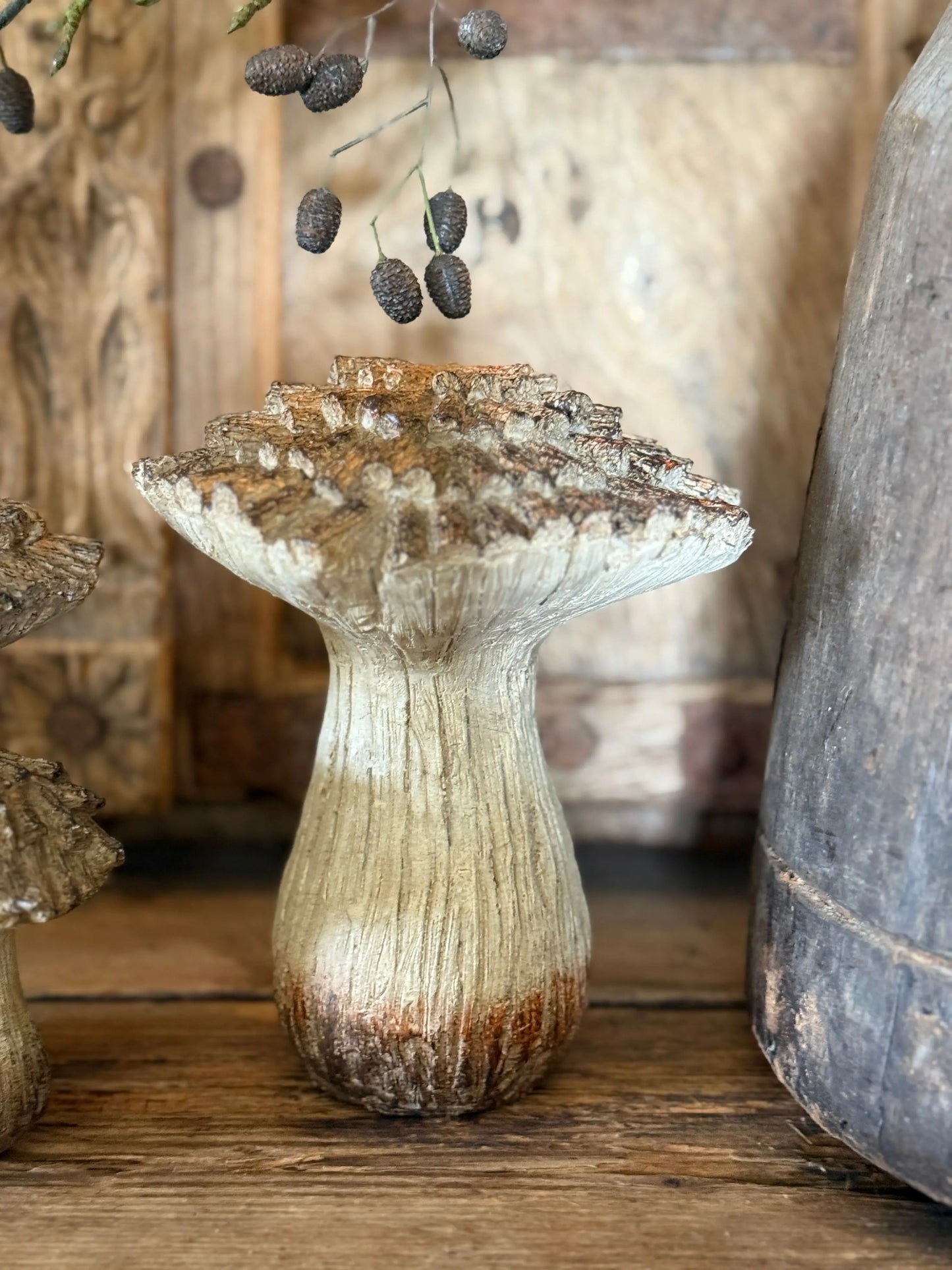 Pilz Größe L - Rechts auf dem Foto