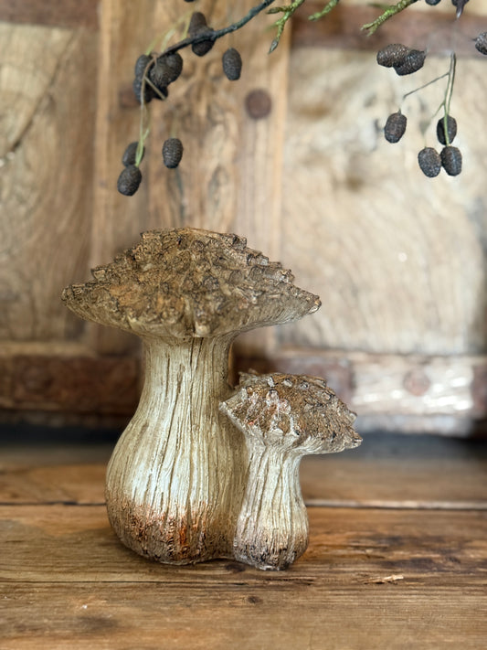 Mushroom Double-Left in the photo