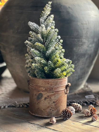 Rusted pot