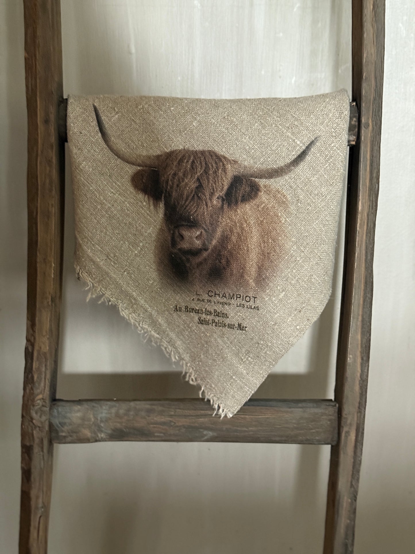 Shabby chic Scottish Highlander cloth - Color
