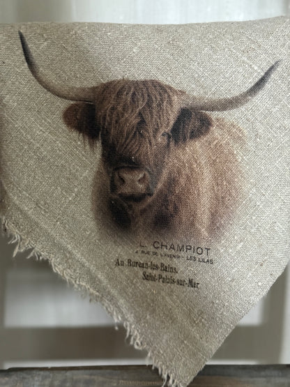 Shabby chic Scottish Highlander cloth - Color