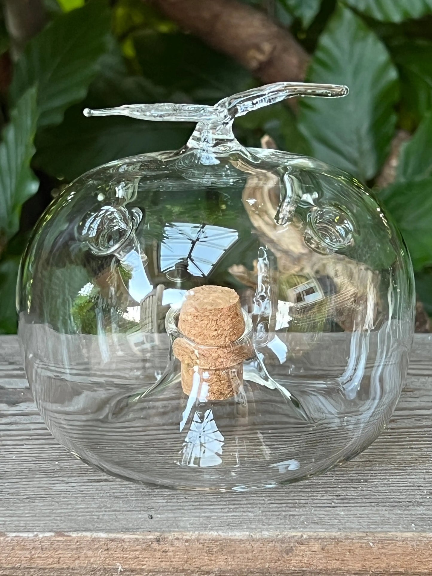 Fruit fly trap
