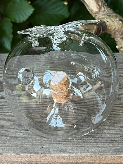 Fruit fly trap