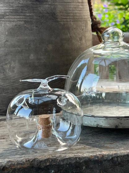 Fruit fly trap