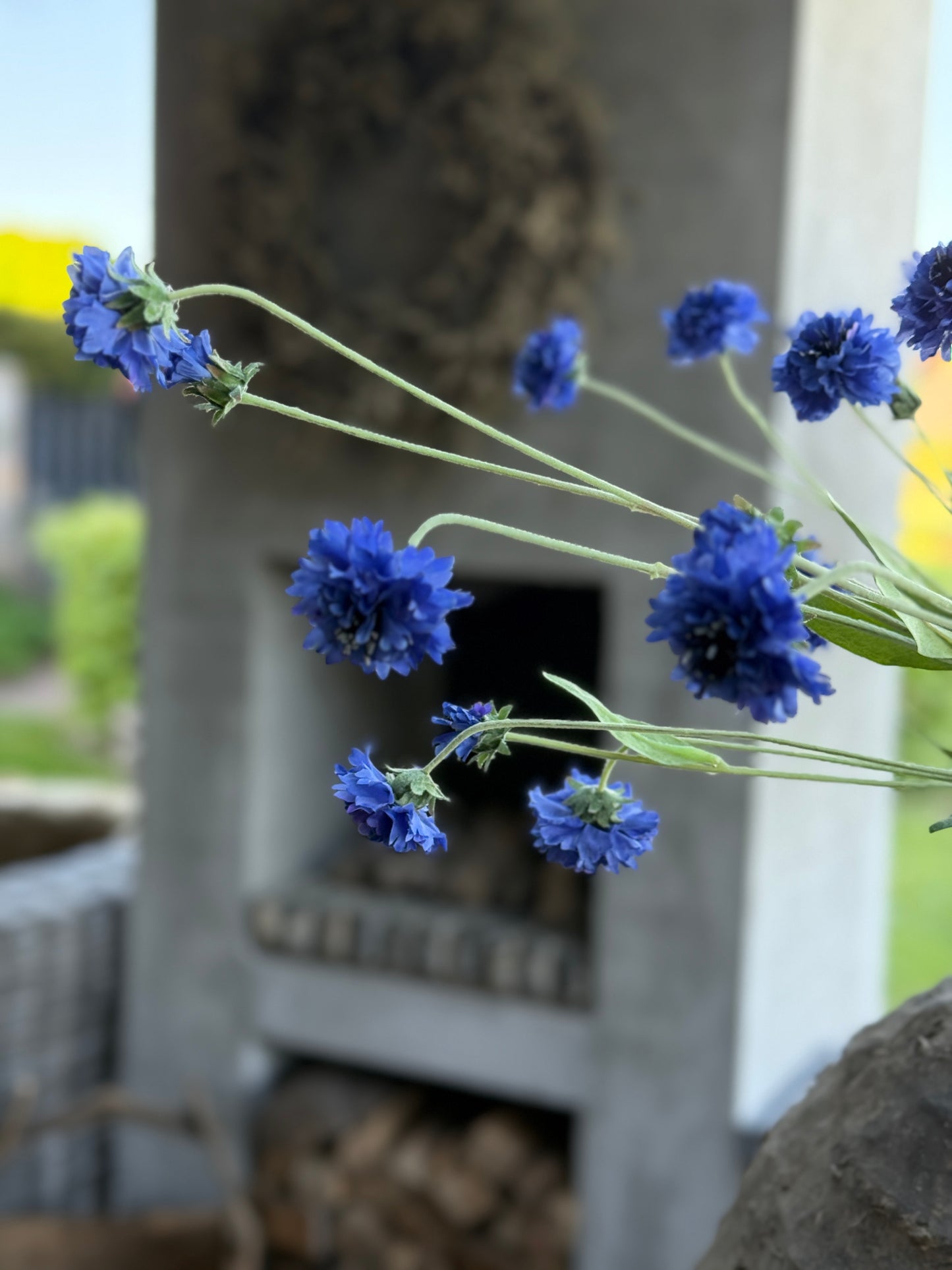 Art Cornflower – deep blue