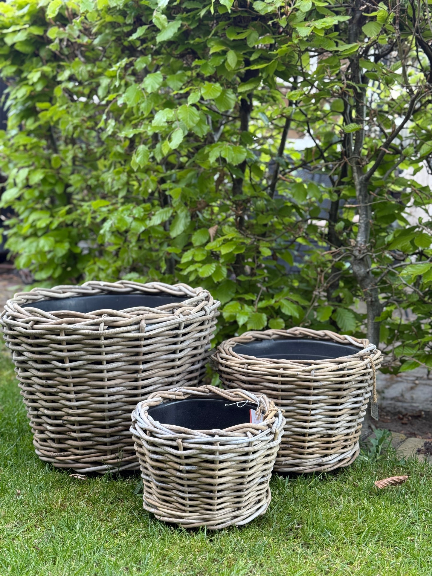 Rattan Baskets with plastic inner pot – Available in S, M, L