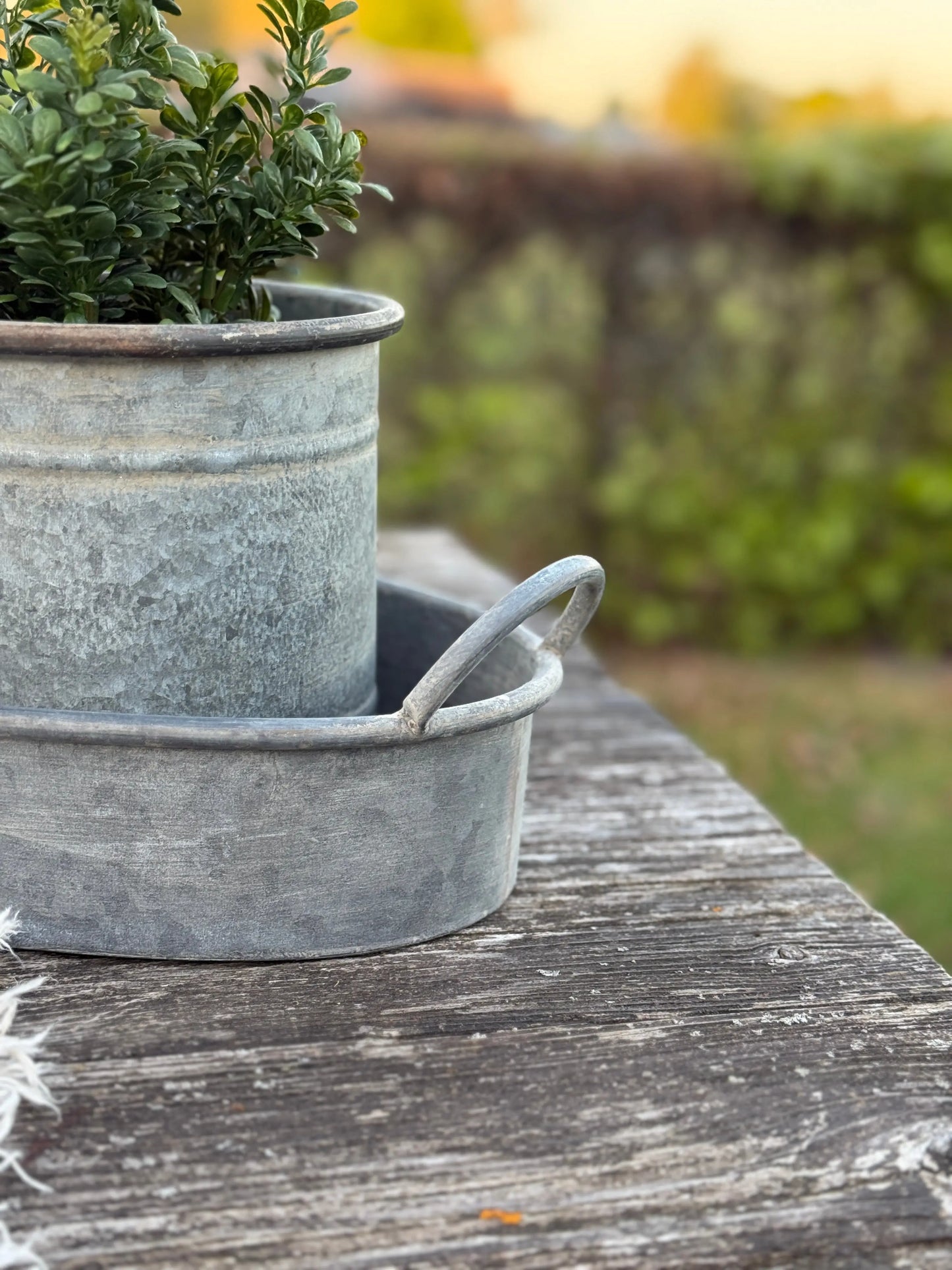 Oval zinc tray with handles