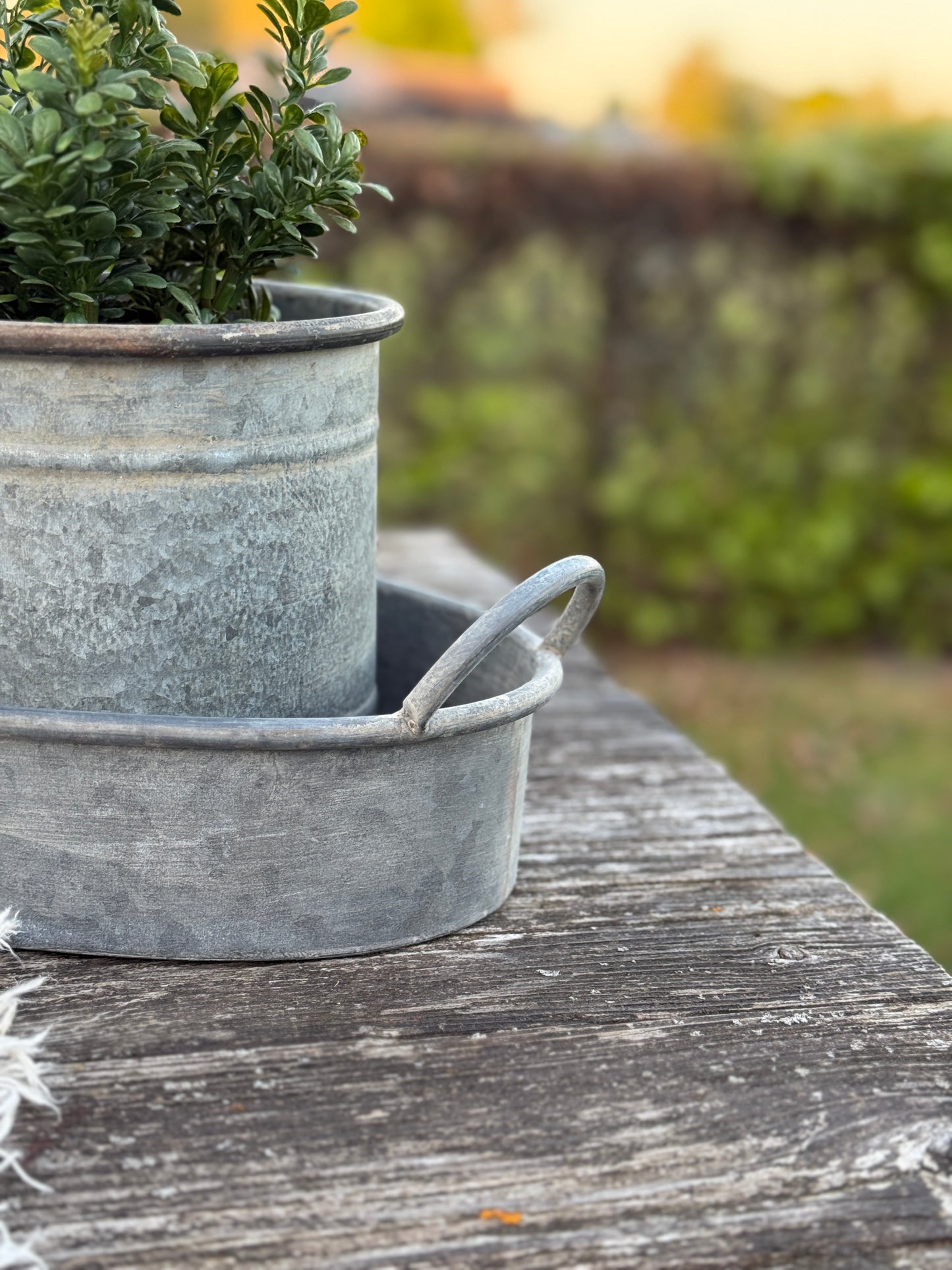 Oval zinc tray with handles