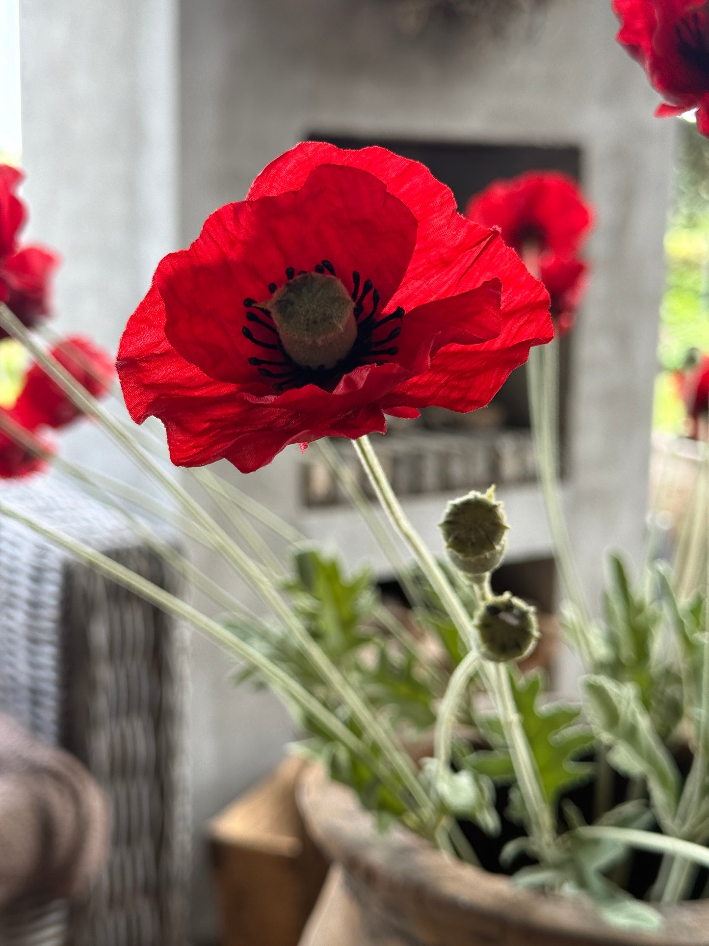 Art Poppy – per piece