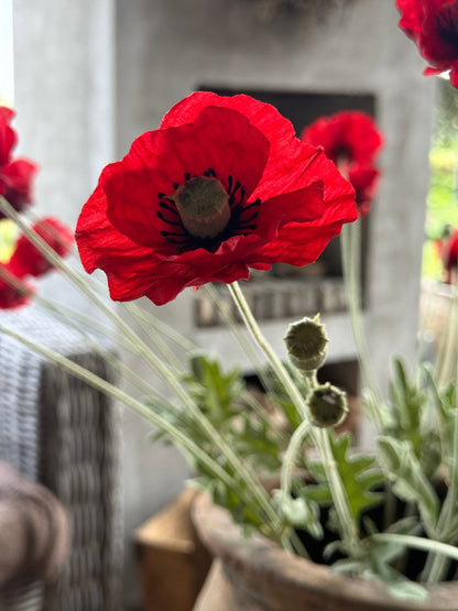 Art Poppy – per piece