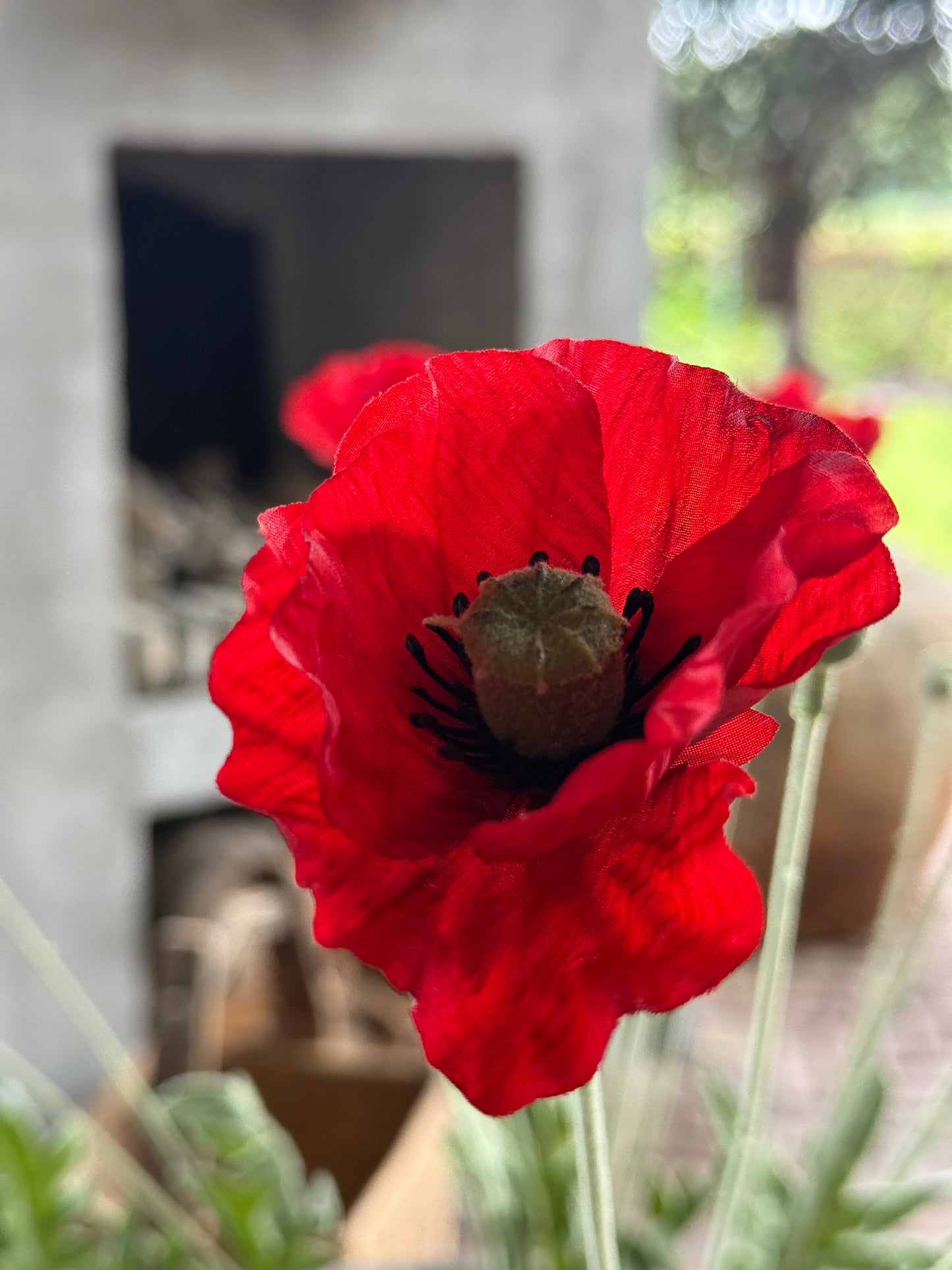 Art Poppy – per piece
