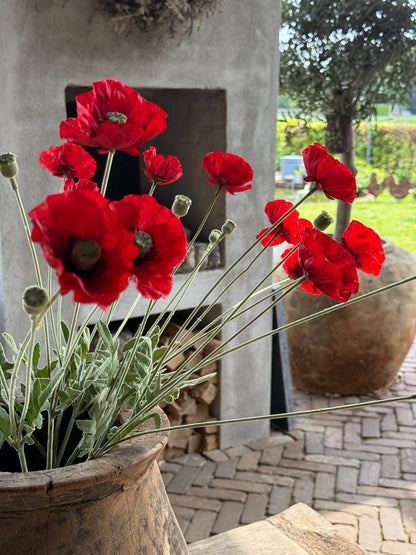 Art Poppy – per piece