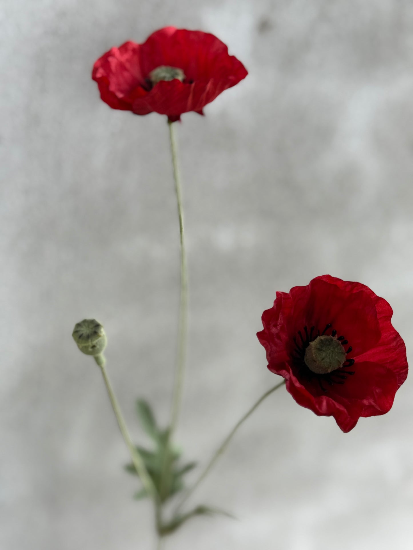 Art Poppy – per piece
