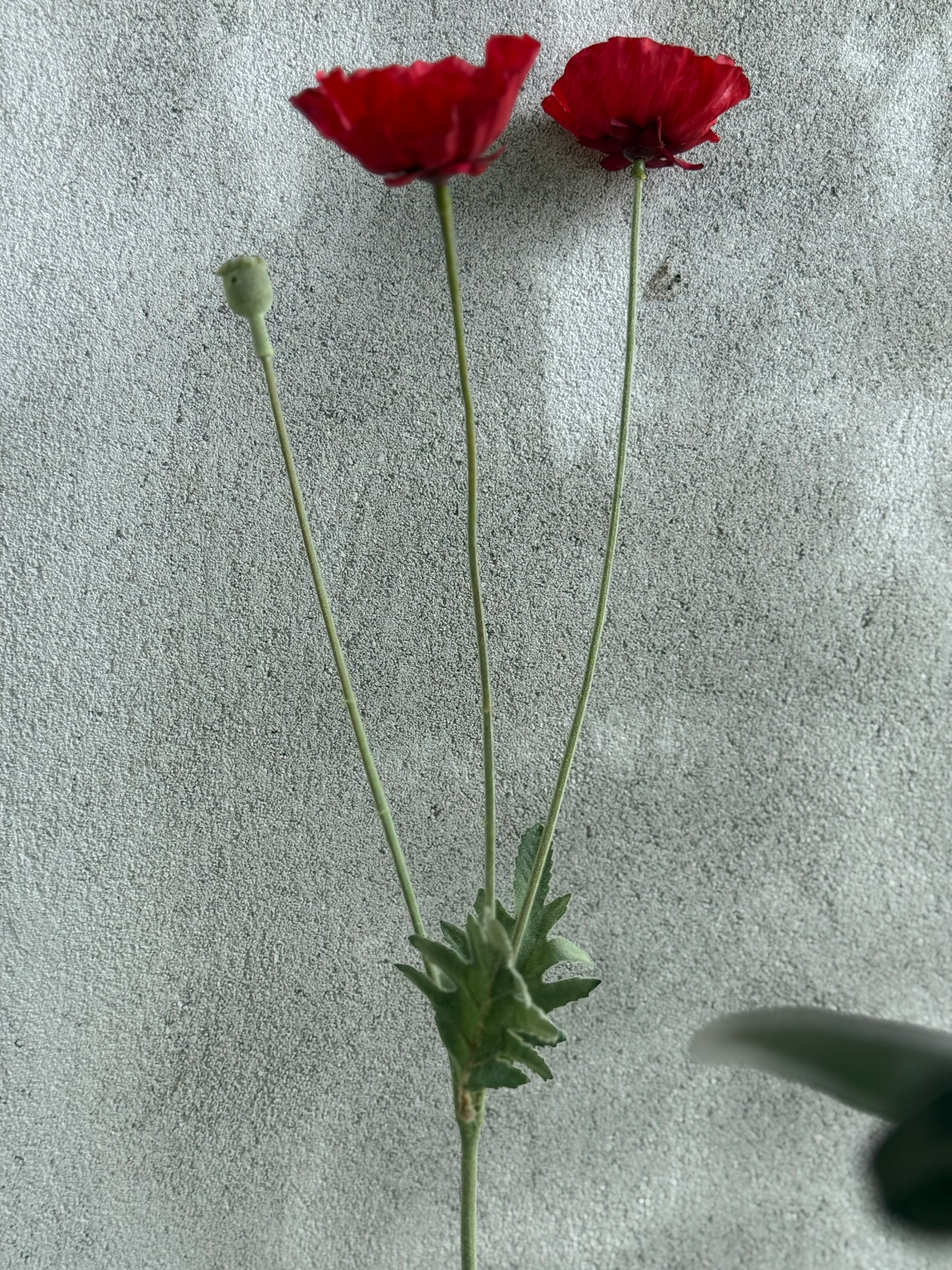 Art Poppy – per piece
