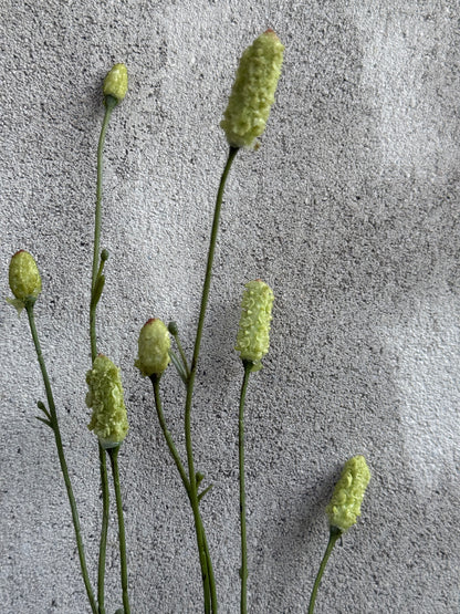Kunstzweig Burnet Spray – 85 cm