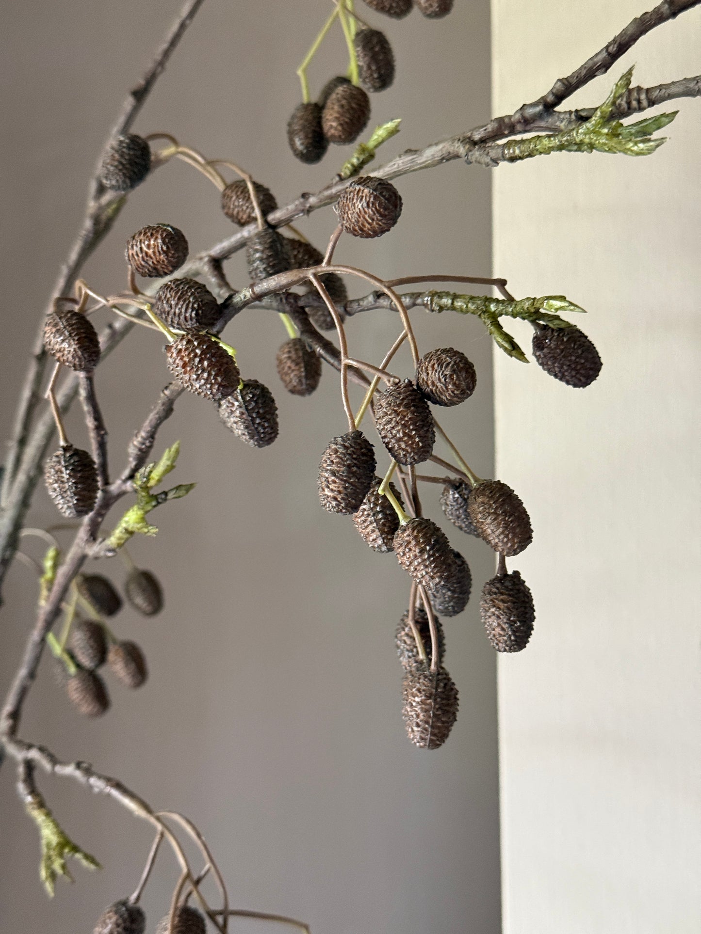 Catkins Branch - Art - 95 cm.