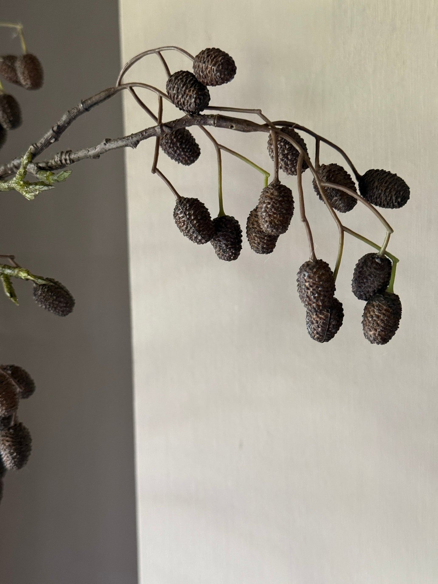 Catkins Branch - Art - 95 cm.