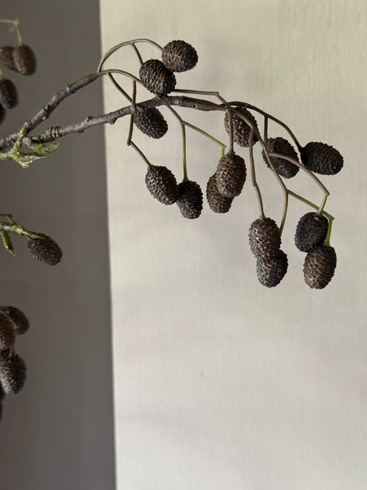 Catkins Branch - Art - 95 cm.
