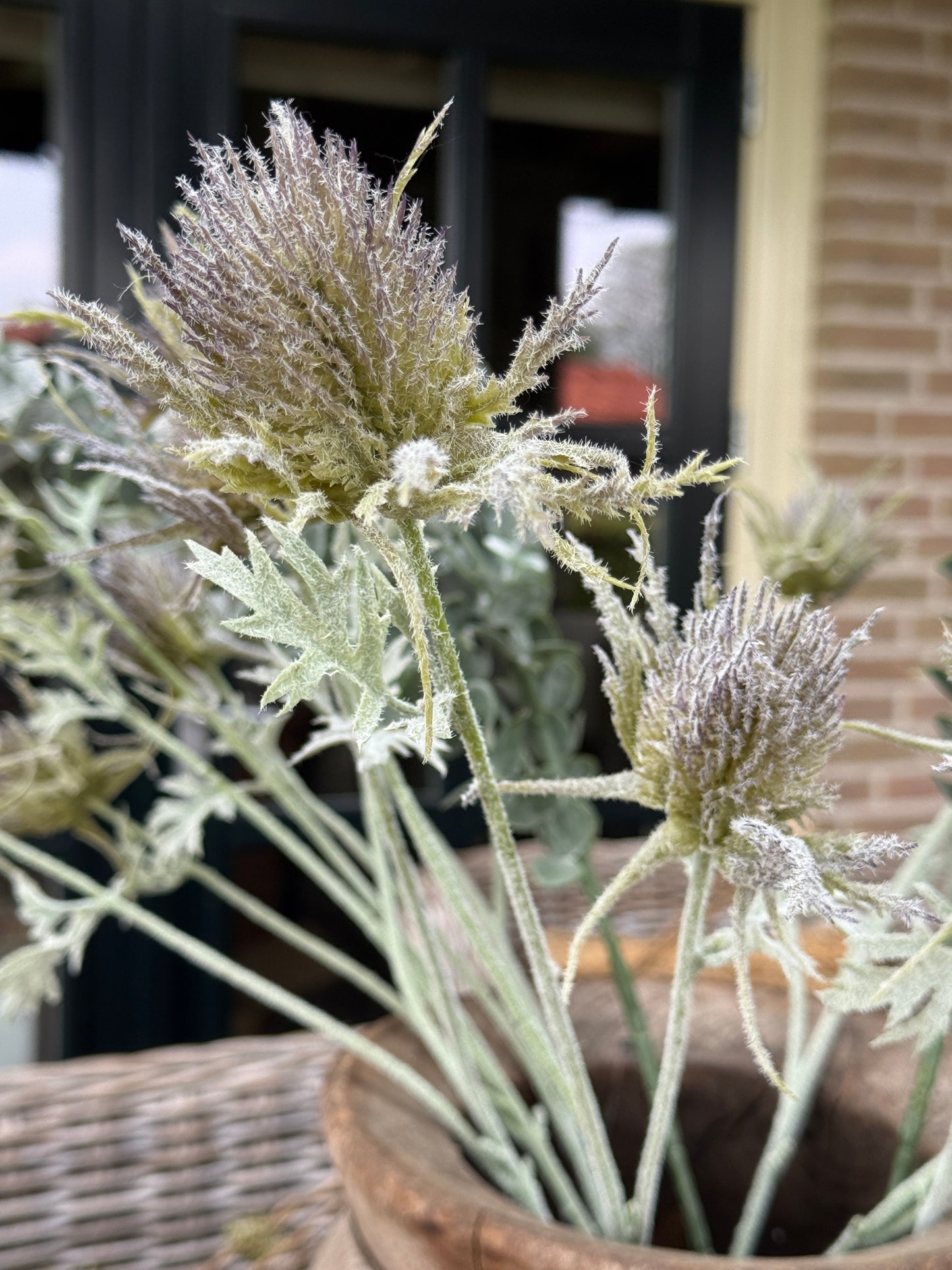 Kunstzweig Wilde Distel – 72 cm