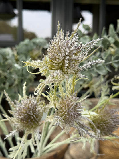 Kunstzweig Wilde Distel – 72 cm