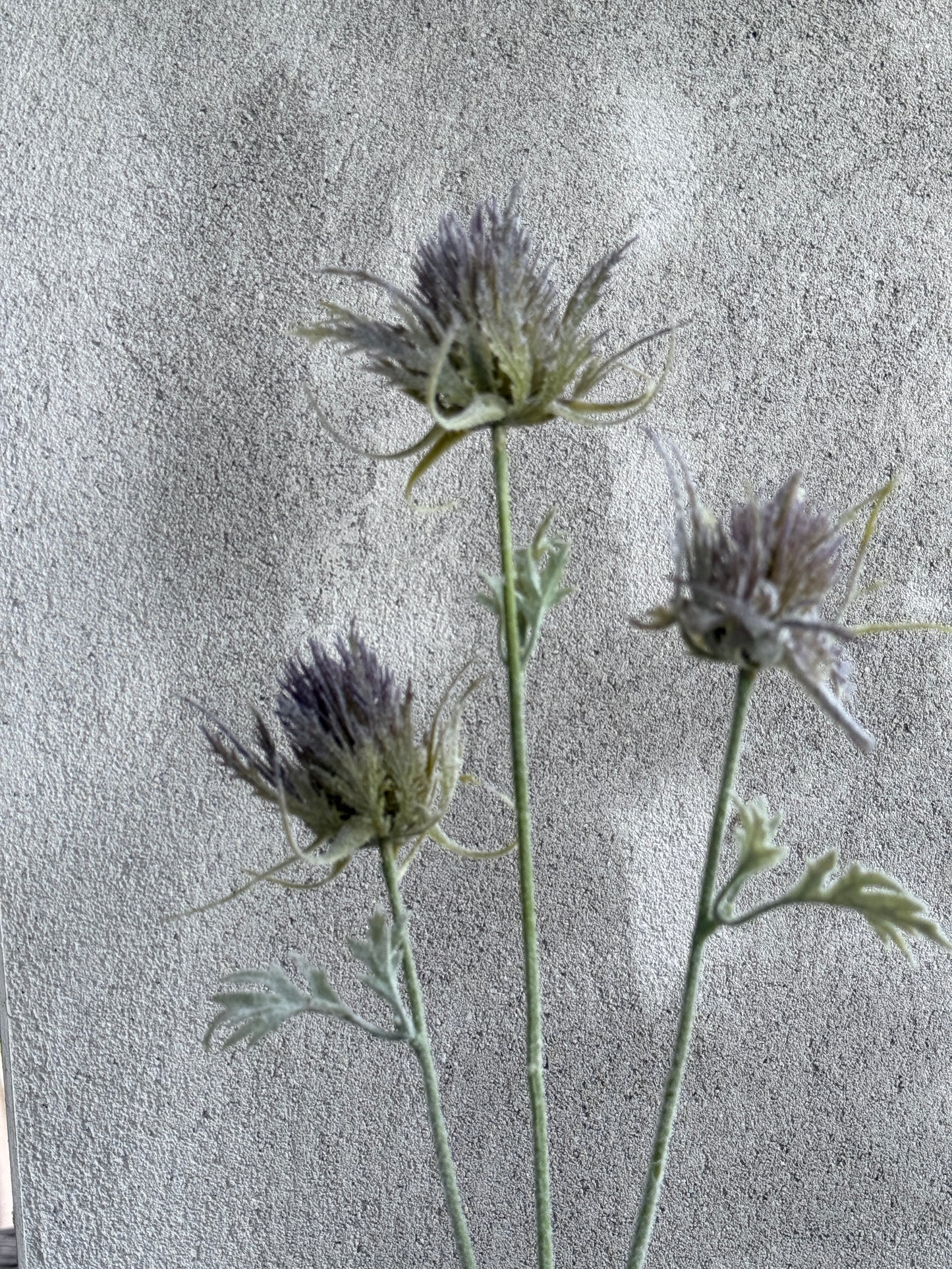 Kunstzweig Wilde Distel – 72 cm