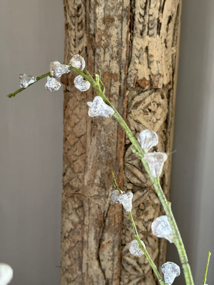 Eucalyptus Seeds Spray – 102 cm